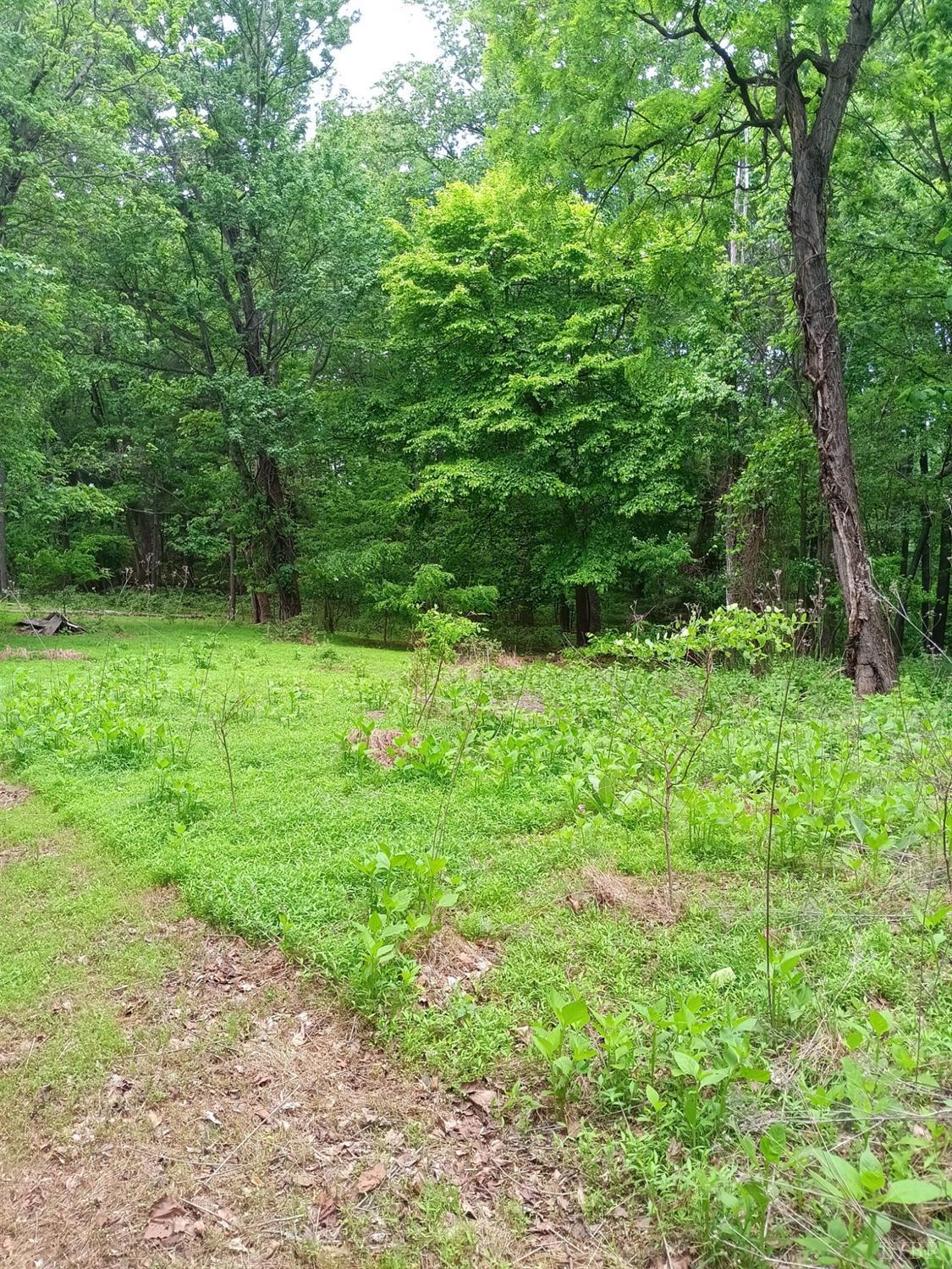 0 North Fork Road Amherst, VA 24521 - Photo 24 of 27