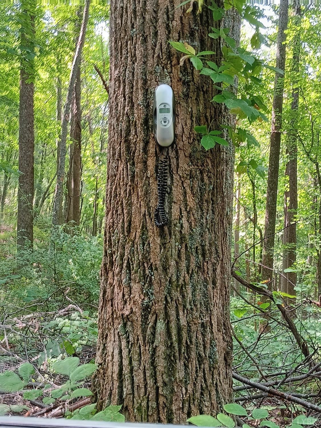 0 North Fork Road Amherst, VA 24521 - Photo 26 of 27