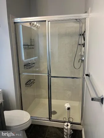 a bathroom with a shower and toilet