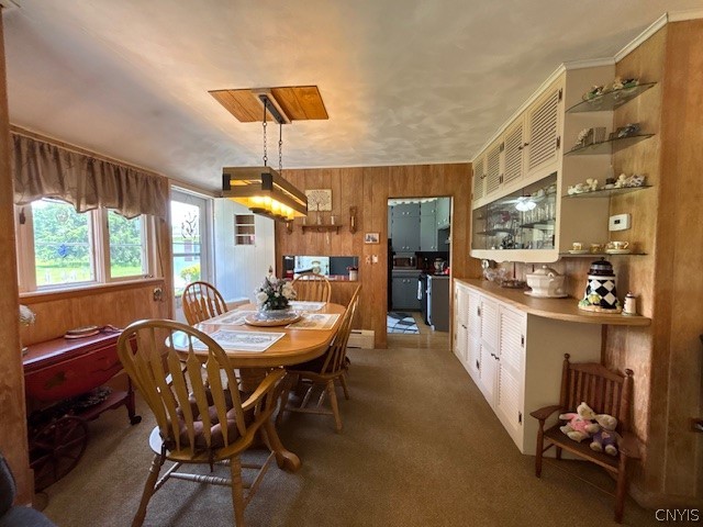 593 Shackelton Point Road Sullivan, NY 13030 - Photo 9 of 38