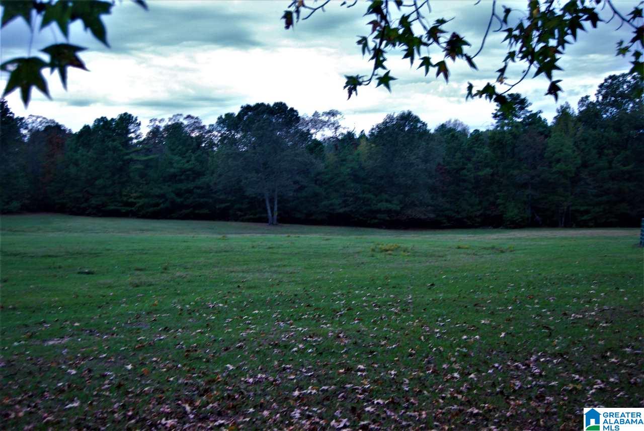 Ranch Marina Road, Unit 1 Pell City, AL 35128 - Photo 8 of 10