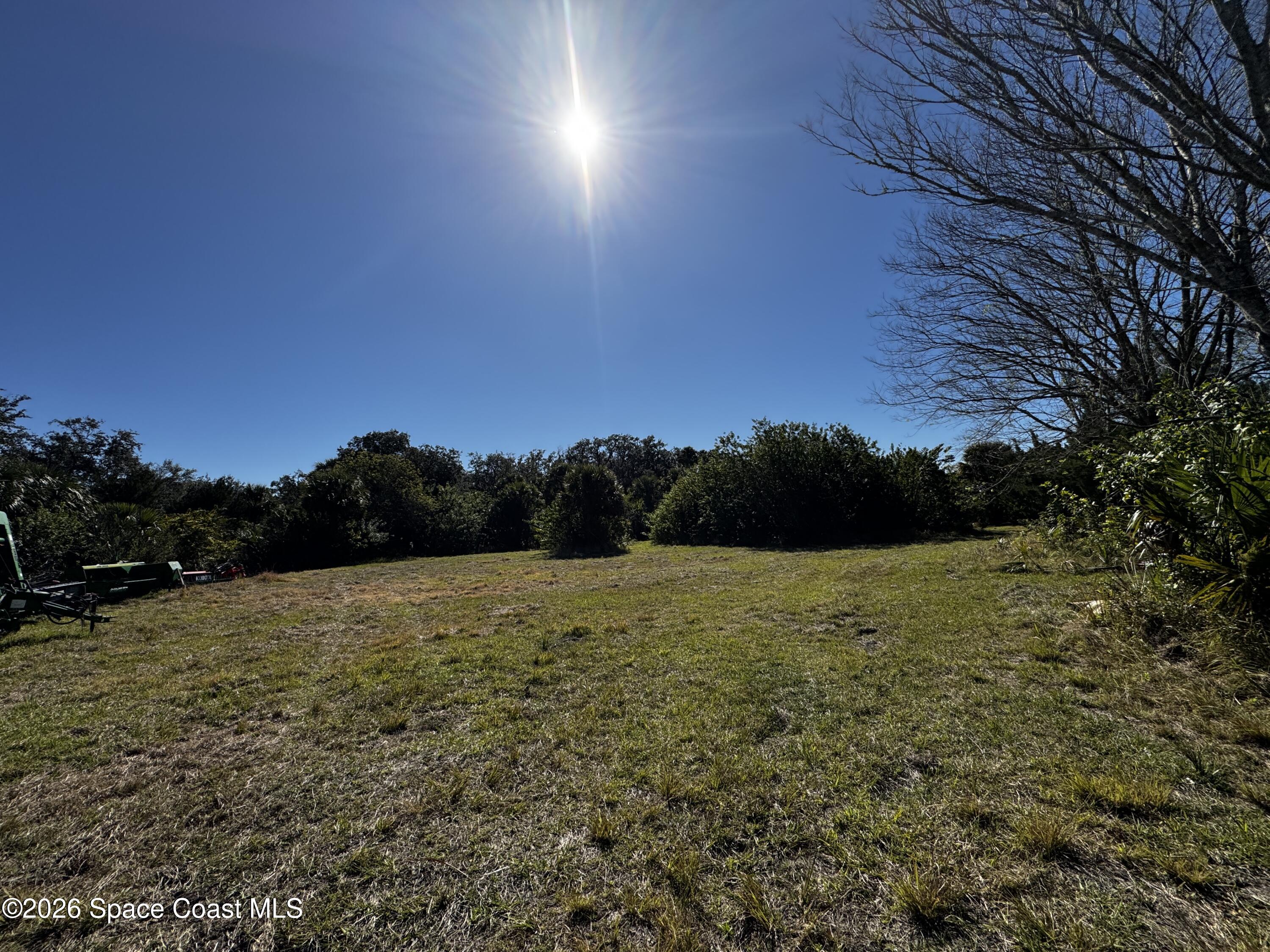 0 Grantline 10 Acres Road Mims, FL 32754 - Photo 11 of 15 IMG_8247
