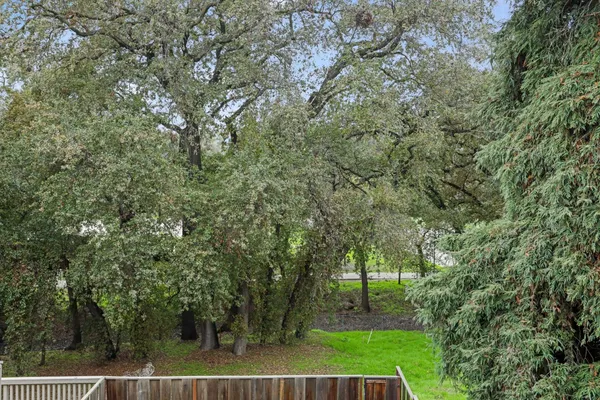 a view of a backyard with large trees