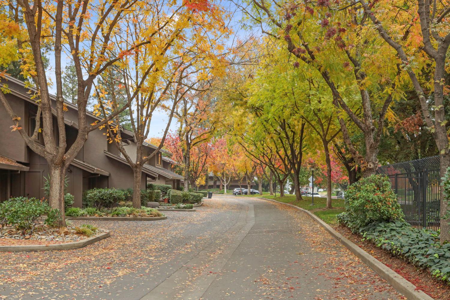 1917 Edgebrook Drive, Unit D Modesto, CA 95354 - Photo 56 of 58 a view of road with large trees