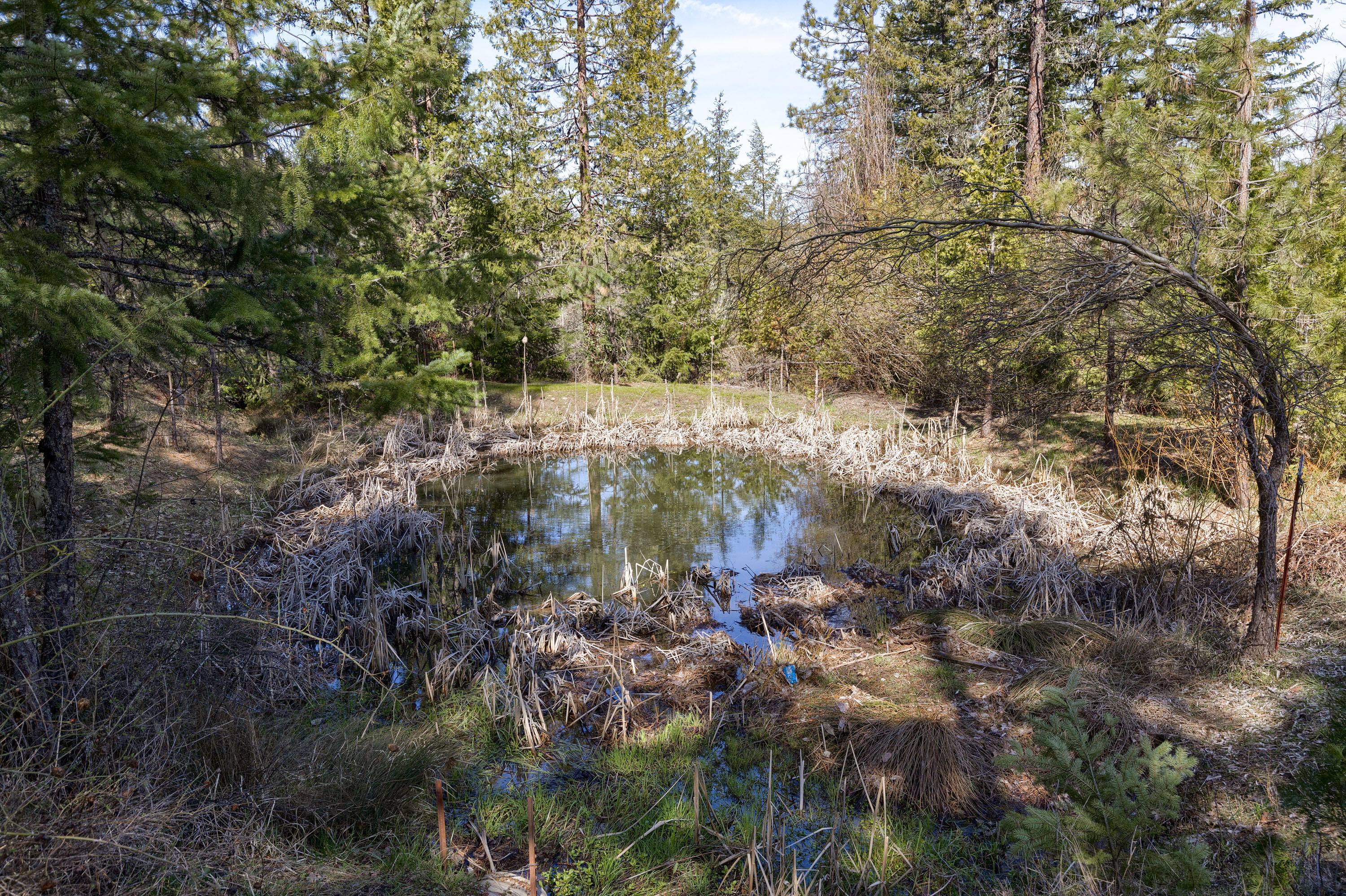 2150 North Obenchain Road Eagle Point, OR 97524 - Photo 40 of 69 41_NO_41