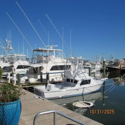 $1,625 | 2050 Oleander Boulevard, Unit 5202, Fort Pierce, FL 34950