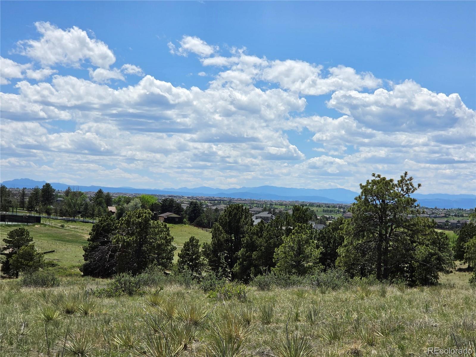 Forest Rim Road Aurora, CO 80016 - Photo 5 of 15 a view of a yard with plants and large trees