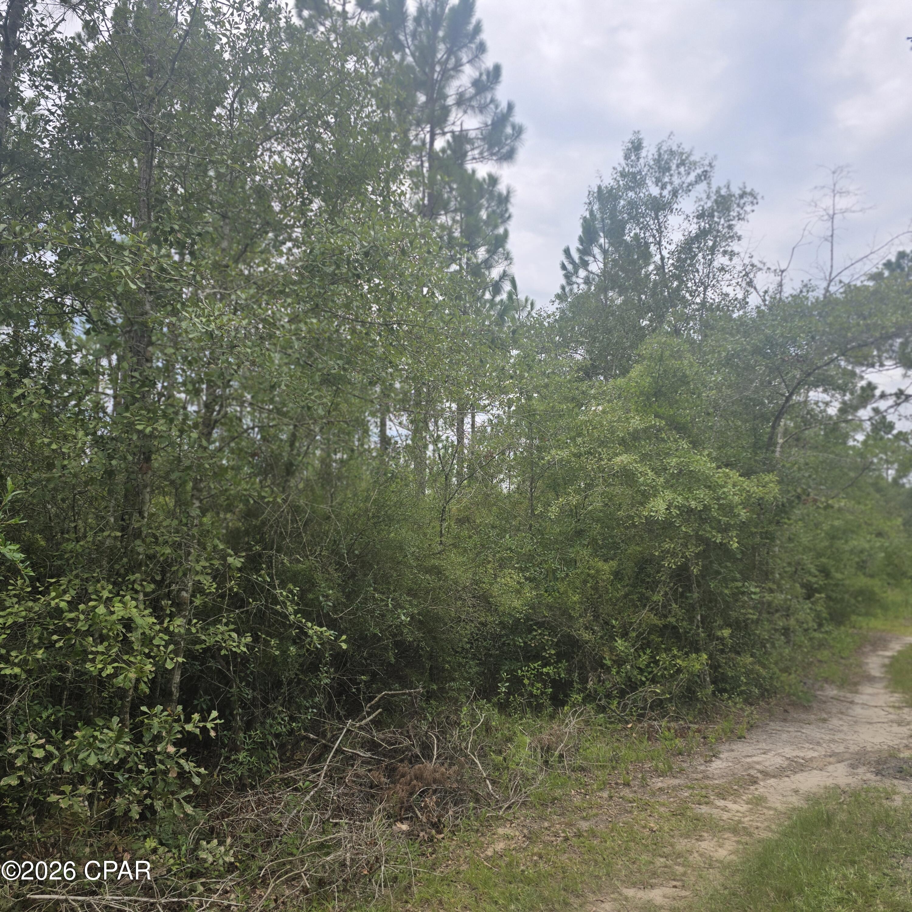 10320 River Alley Road Youngstown, FL 32466 - Photo 3 of 6 Gallery Image 3