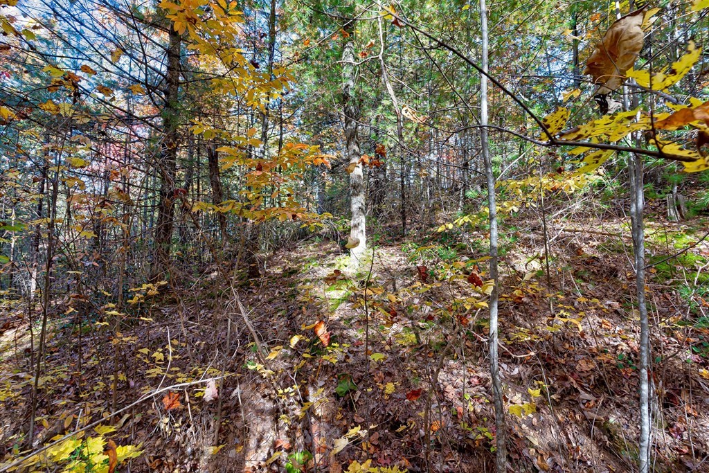 58 Harvest Moon Road Sevierville, TN 37862 - Photo 13 of 18 Gallery Image 13