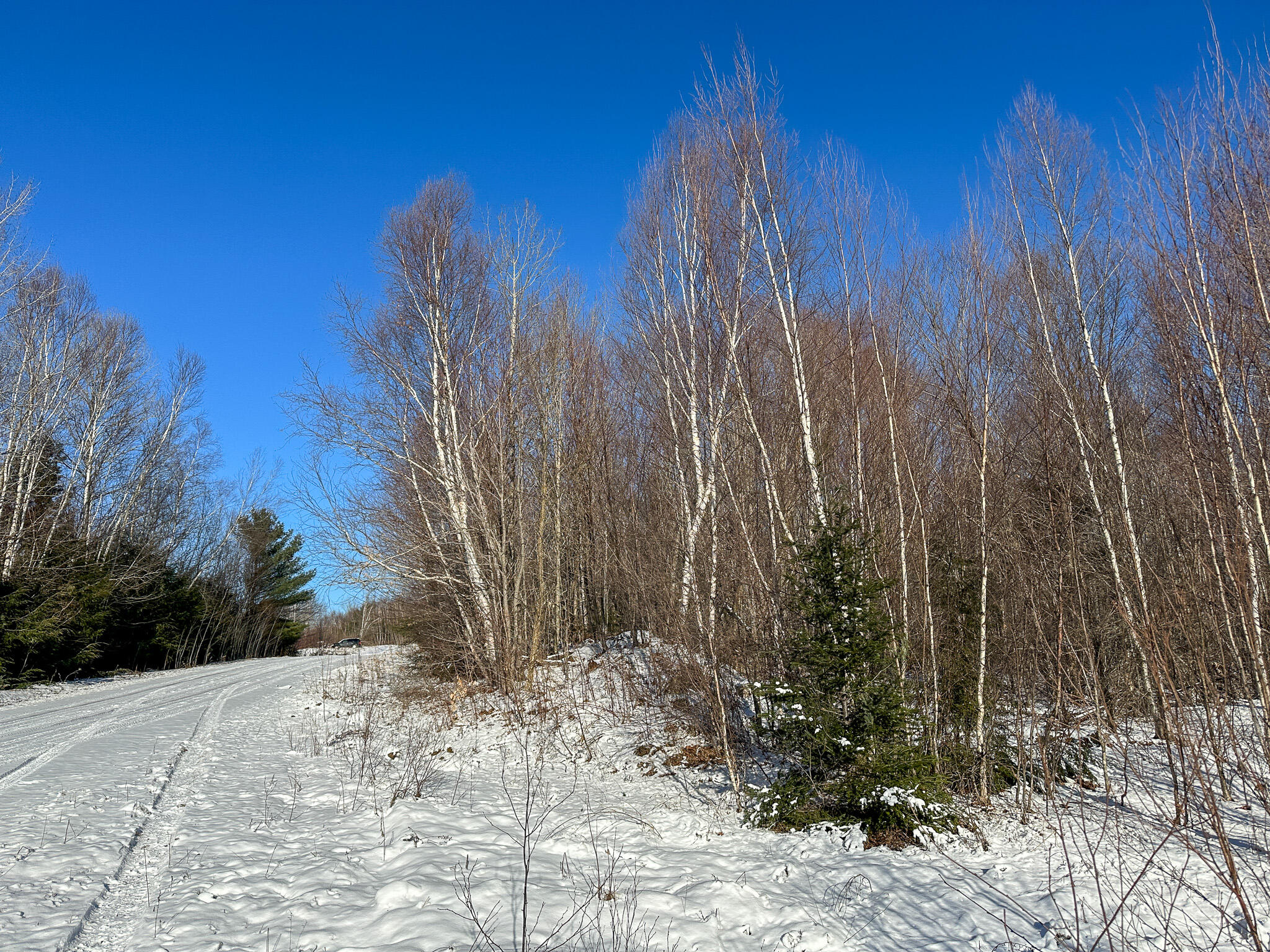 Lot 15 Upper Dobsis Road Lakeville, ME 04487 - Photo 29 of 35 29