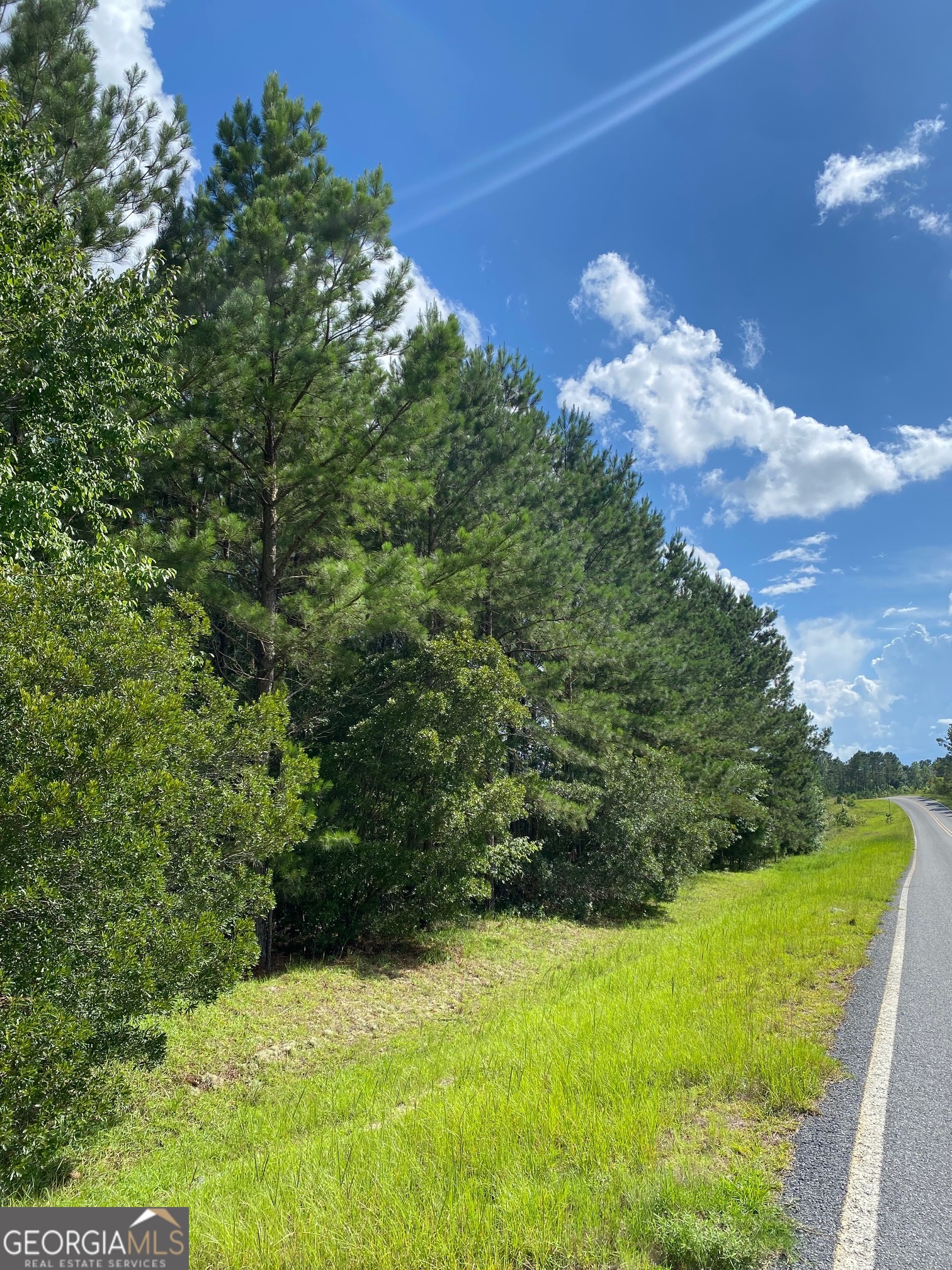 a backyard of a house with lots of green space