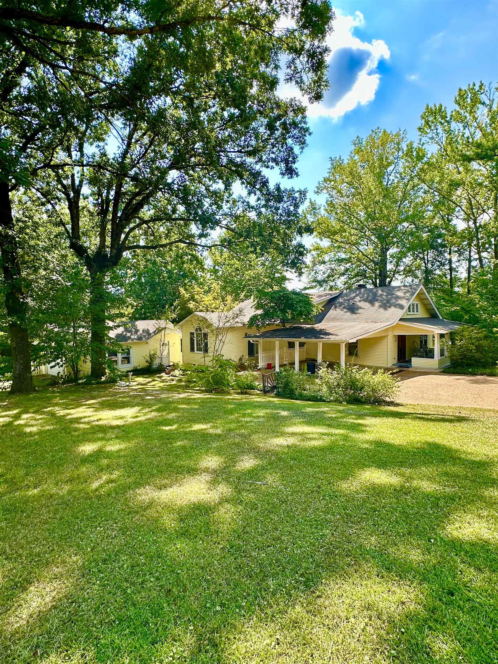 317 Purdy Road Selmer, TN 38375 - Photo 1 of 38 View of yard
