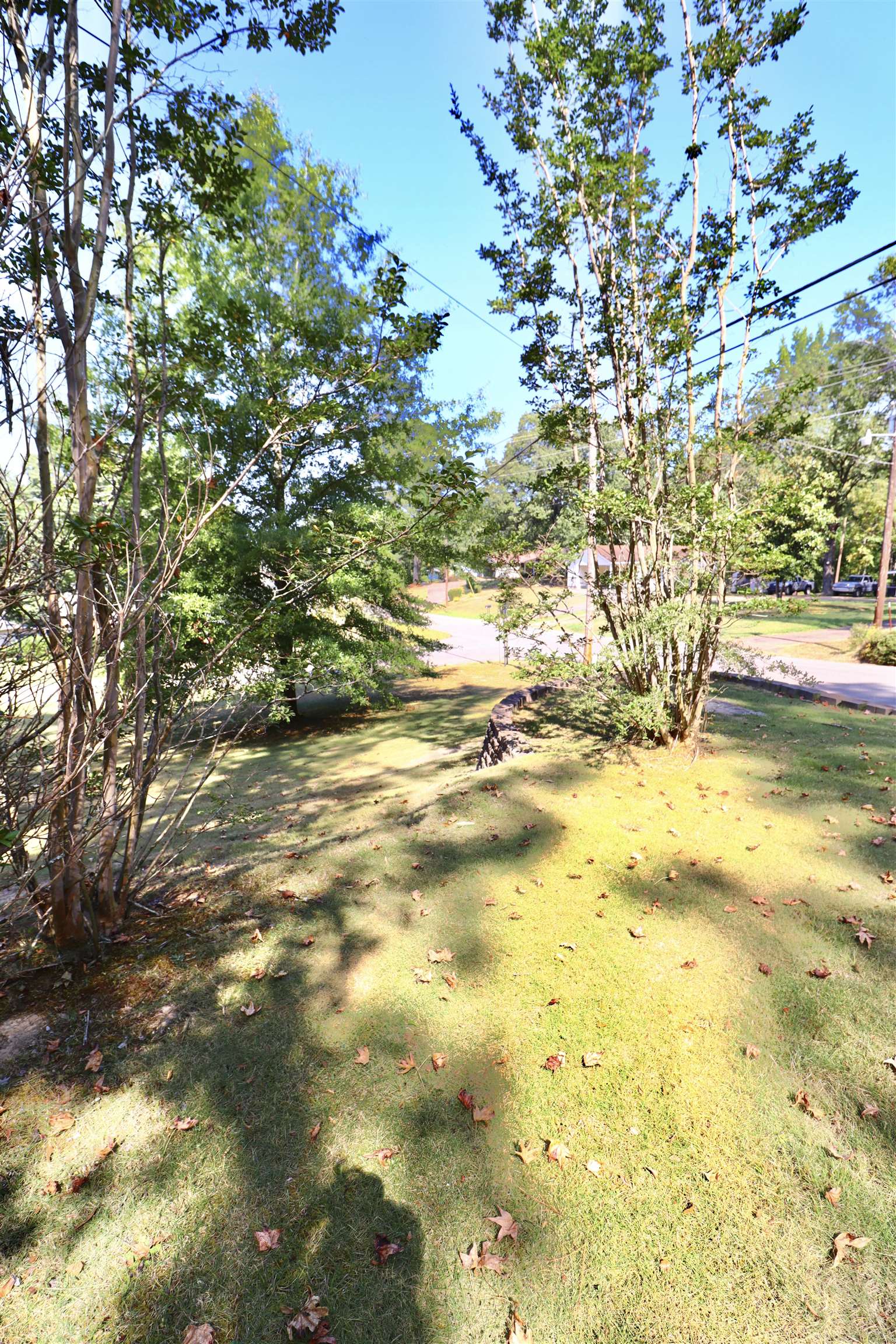 317 Purdy Road Selmer, TN 38375 - Photo 37 of 38 View of yard