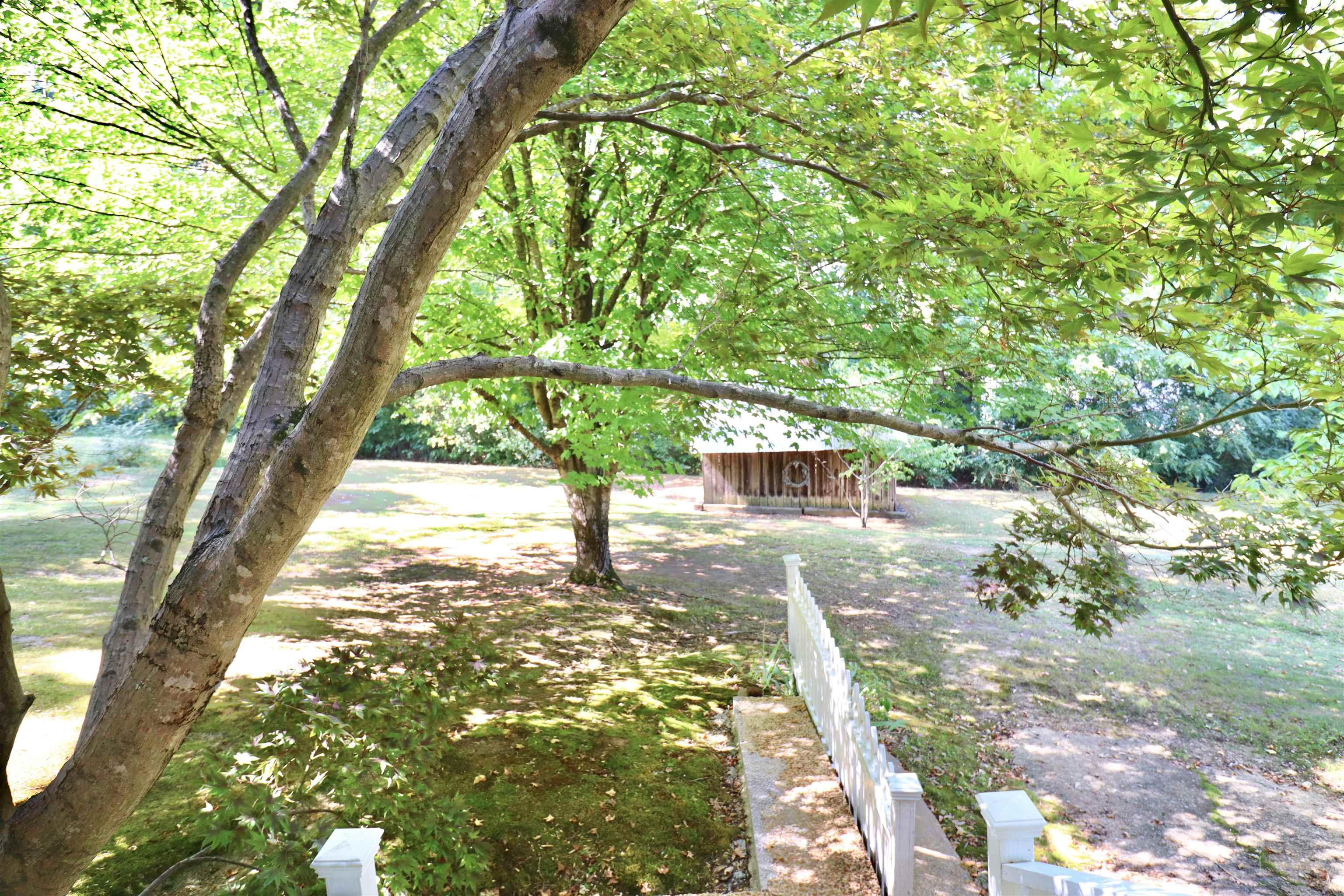 317 Purdy Road Selmer, TN 38375 - Photo 5 of 38 View of yard