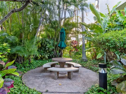 a view of a backyard with plants