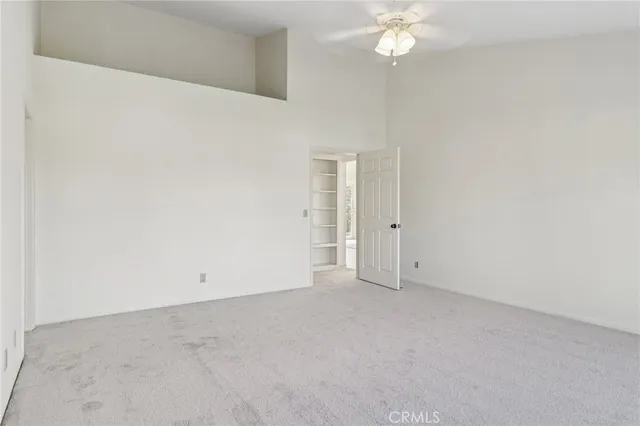 a view of lake with a palm tree