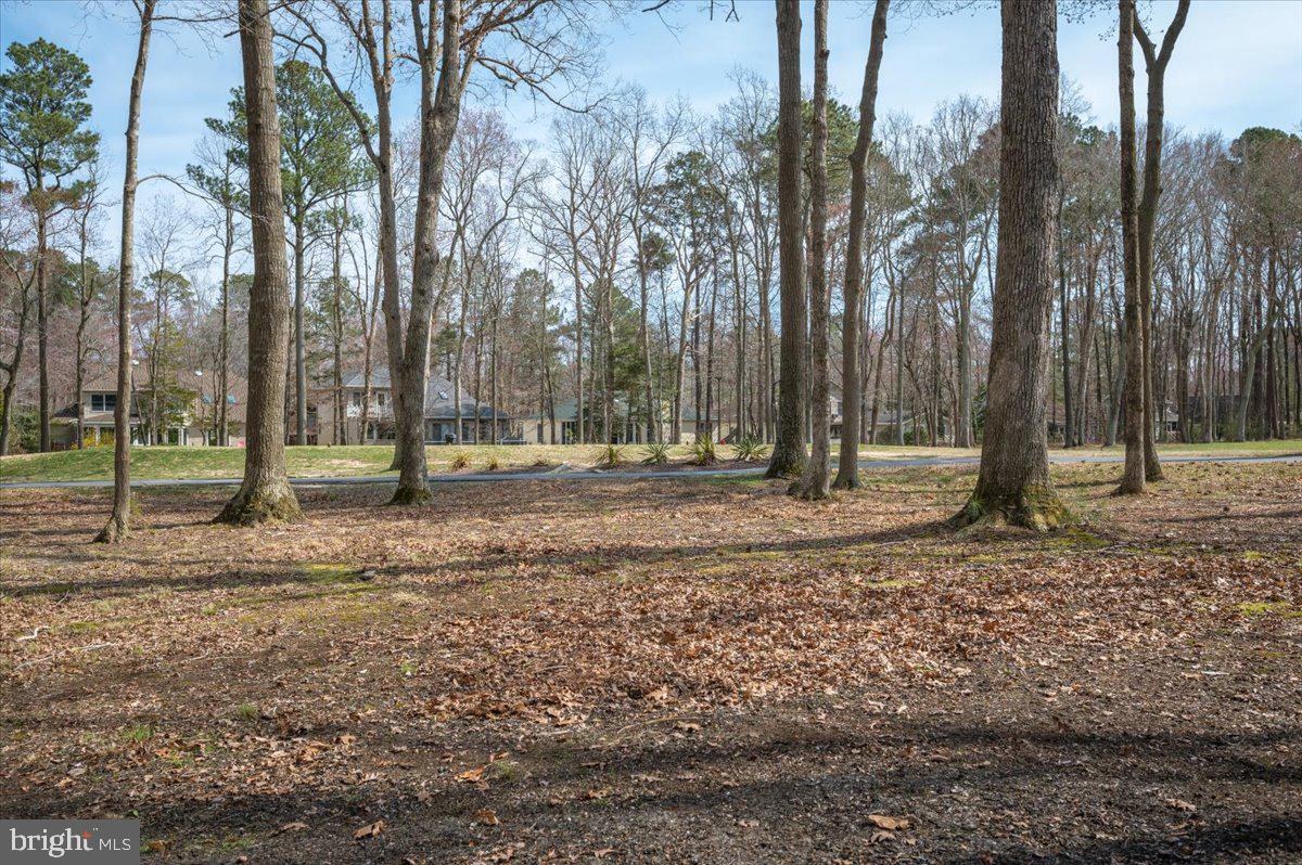 71 Windjammer Road Berlin, MD 21811 - Photo 58 of 59