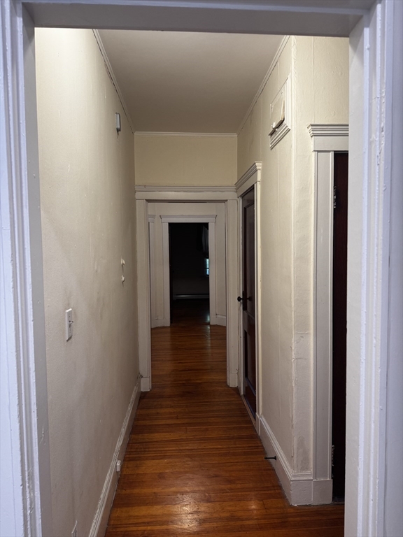 235 Rawson Road, Unit 4 Brookline, MA 02445 - Photo 12 of 16