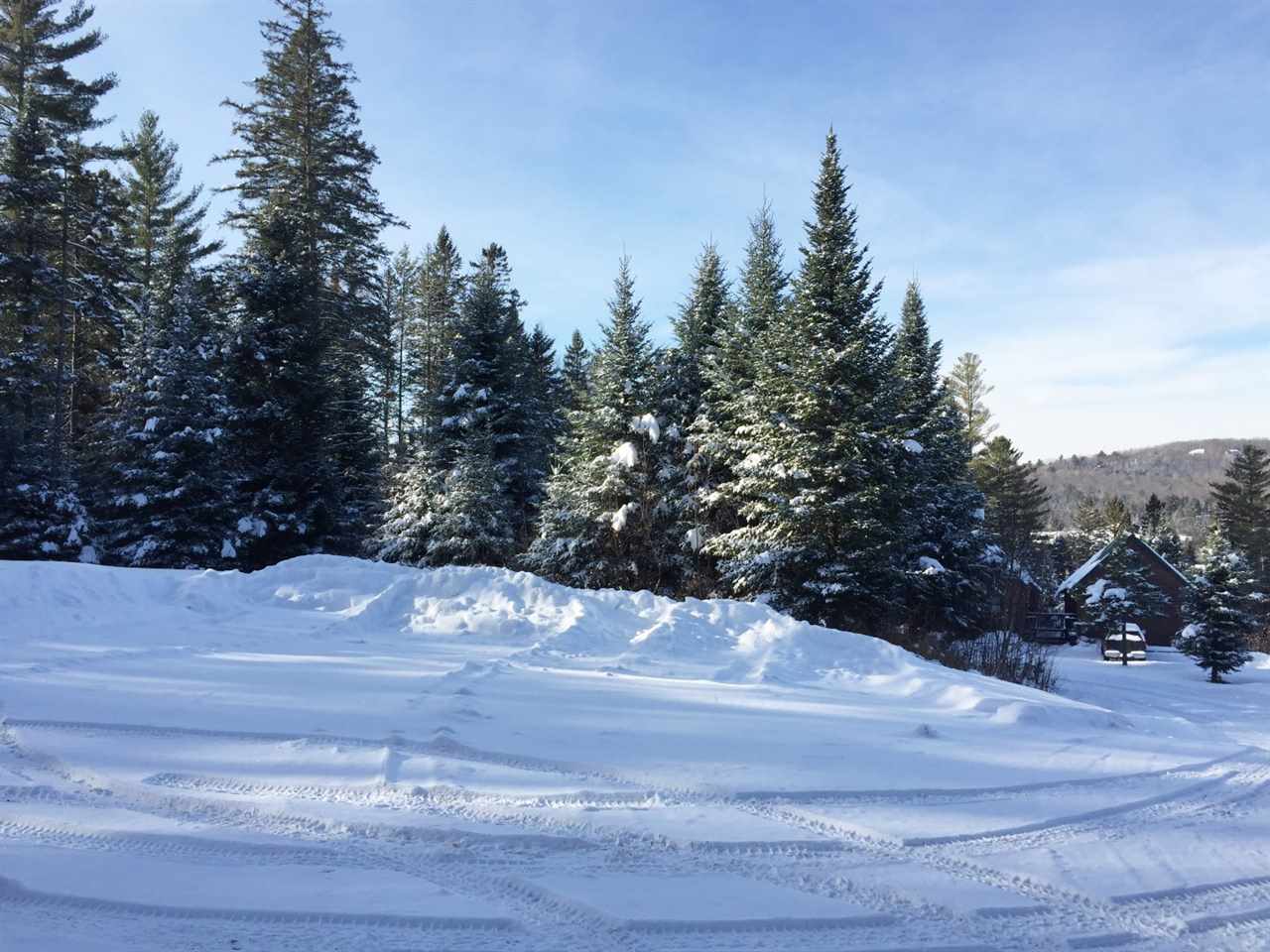 272 Kirby Road, Unit 3 Burke, VT 05832 - Photo 6 of 10