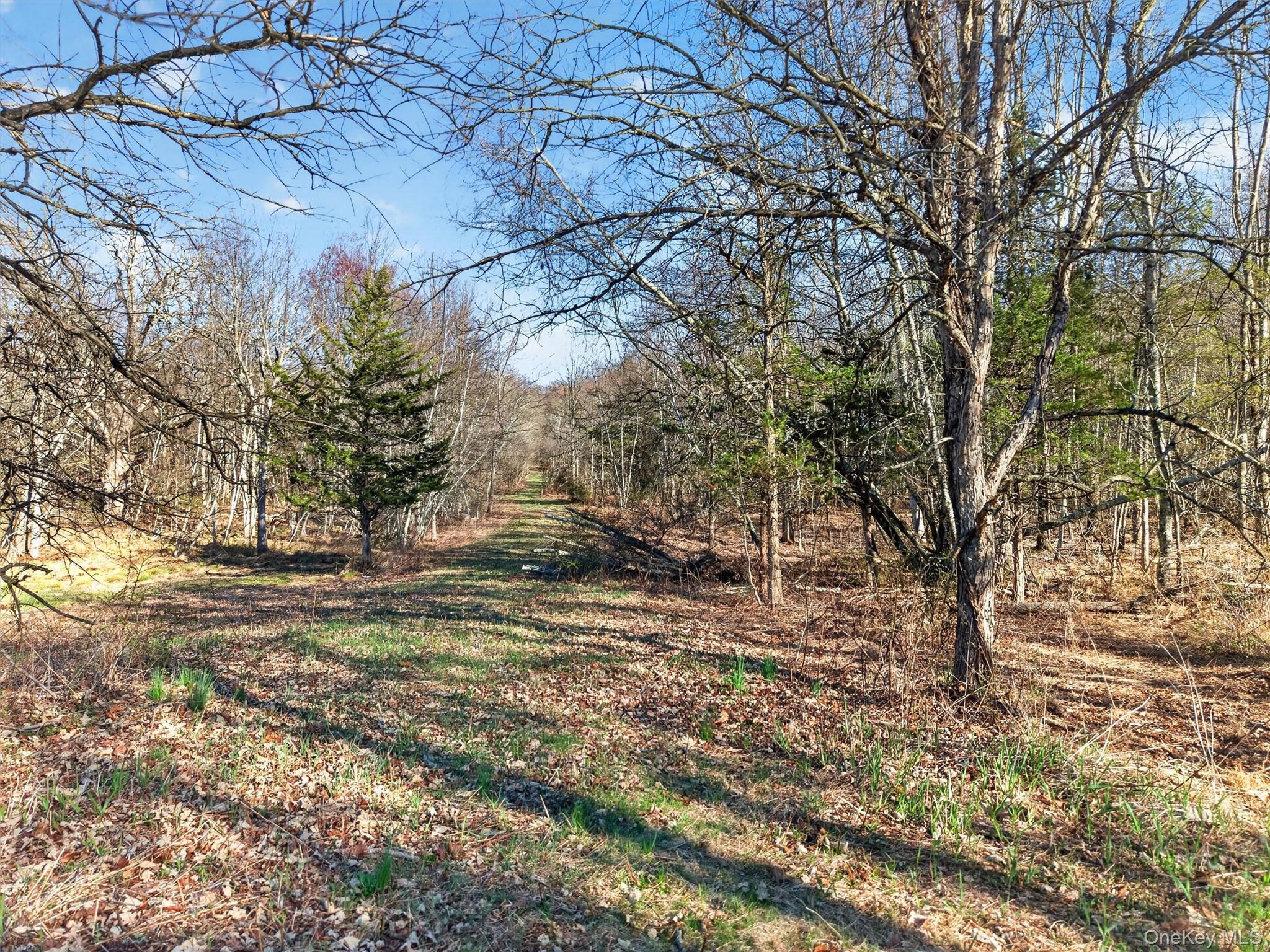 204 Brola Road Middletown, NY 10940 - Photo 40 of 50