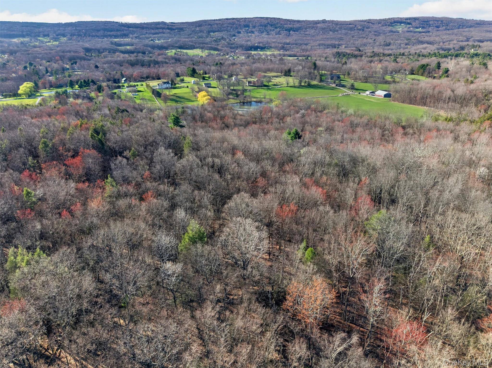 204 Brola Road Middletown, NY 10940 - Photo 41 of 50