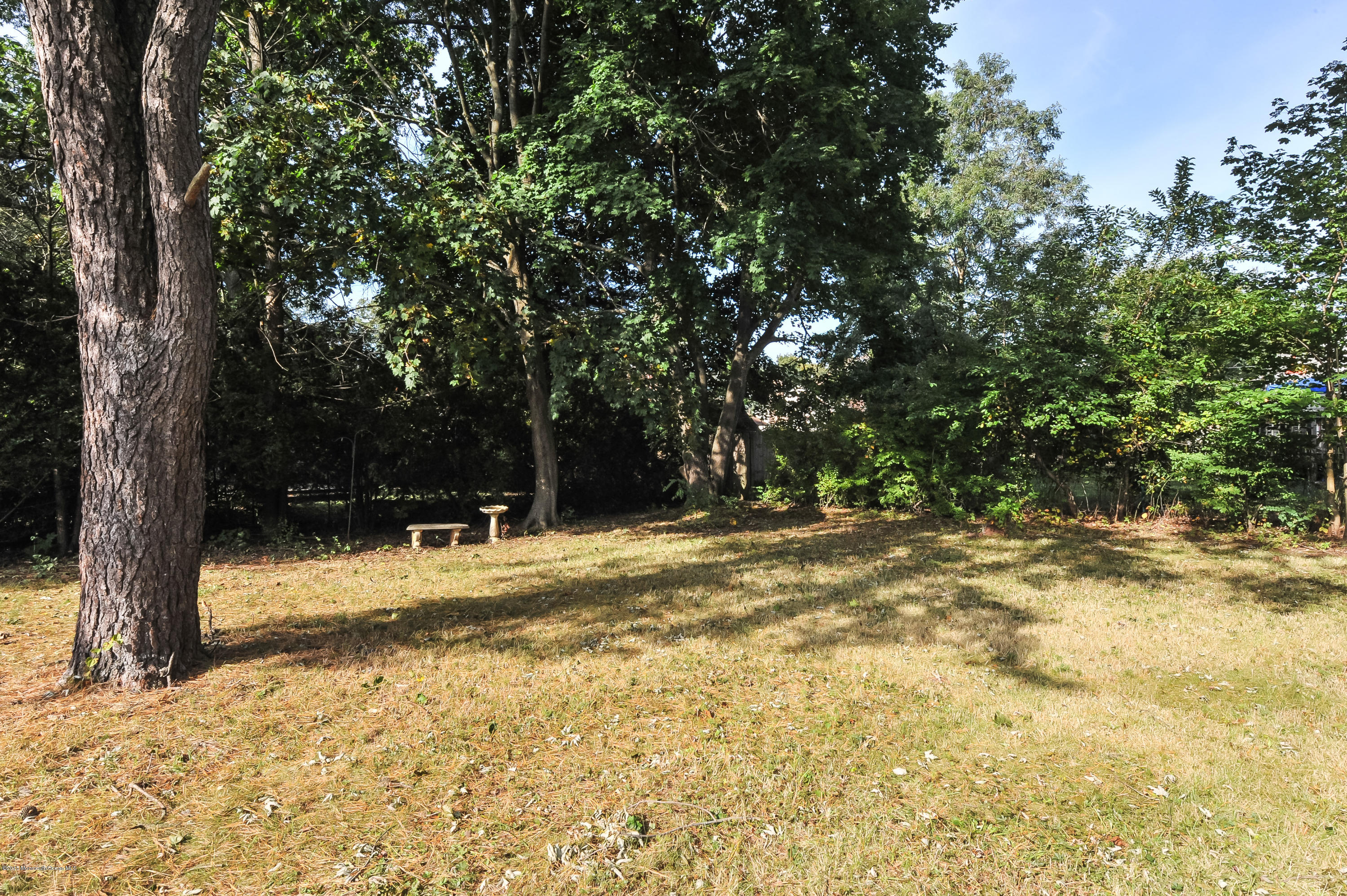 746 Hardean Road Brick, NJ 08724 - Photo 8 of 27 DSC_0764-3