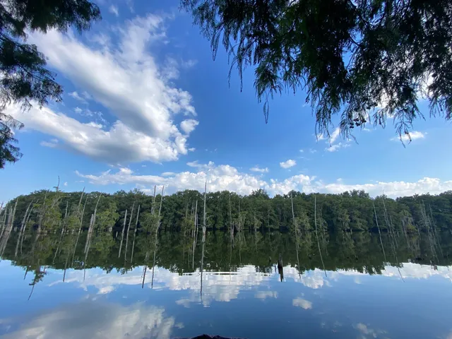 a view of a patio with table and chairs with wooden fence and plants