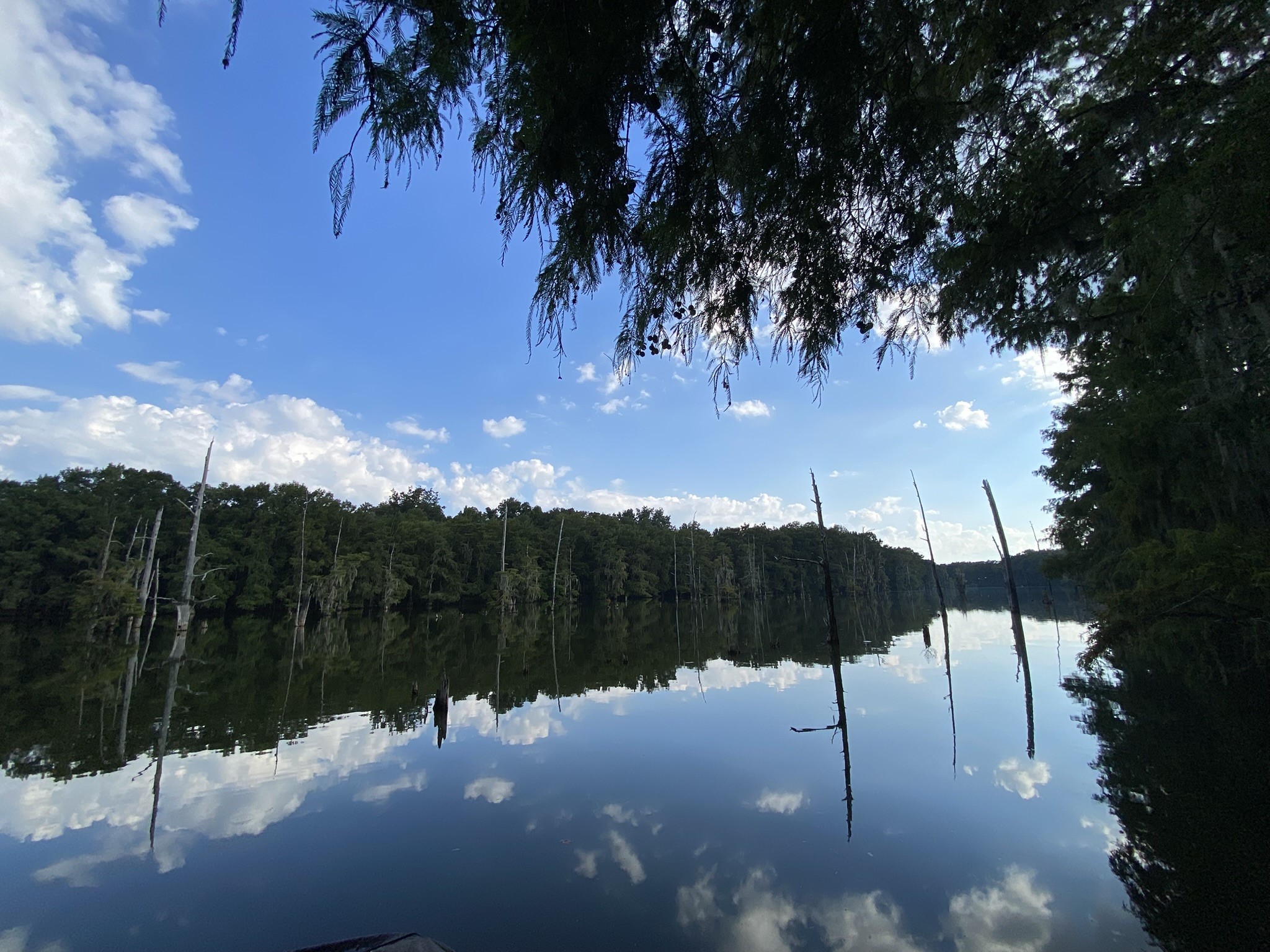 329 Ferguson Drive Cleveland, TX 77327 - Photo 22 of 35