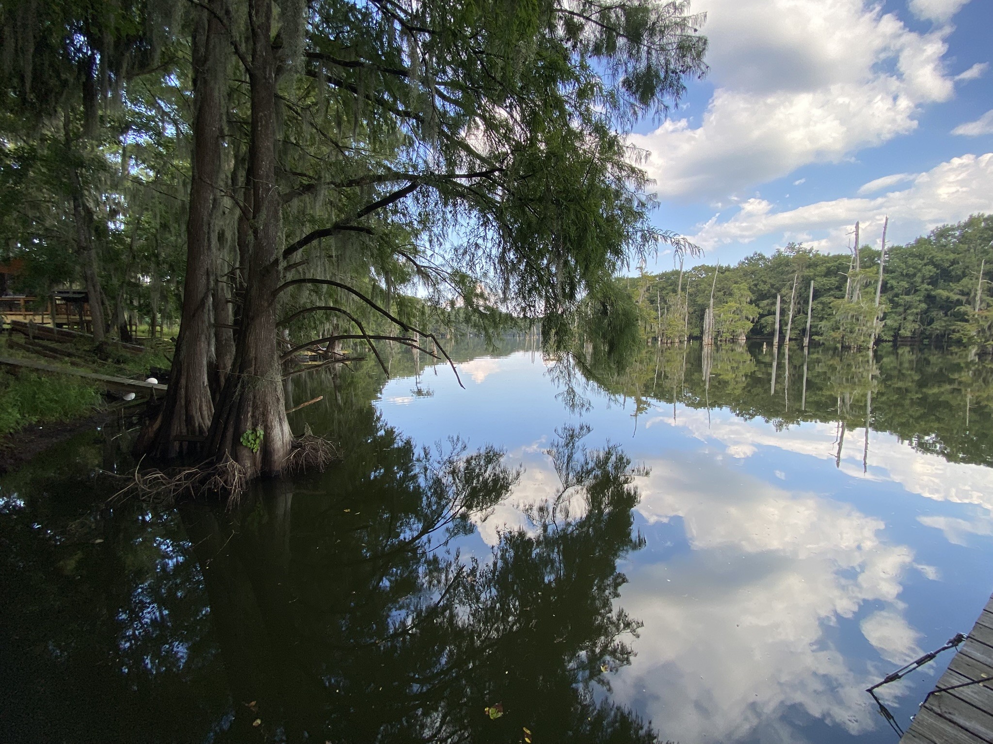 329 Ferguson Drive Cleveland, TX 77327 - Photo 23 of 35