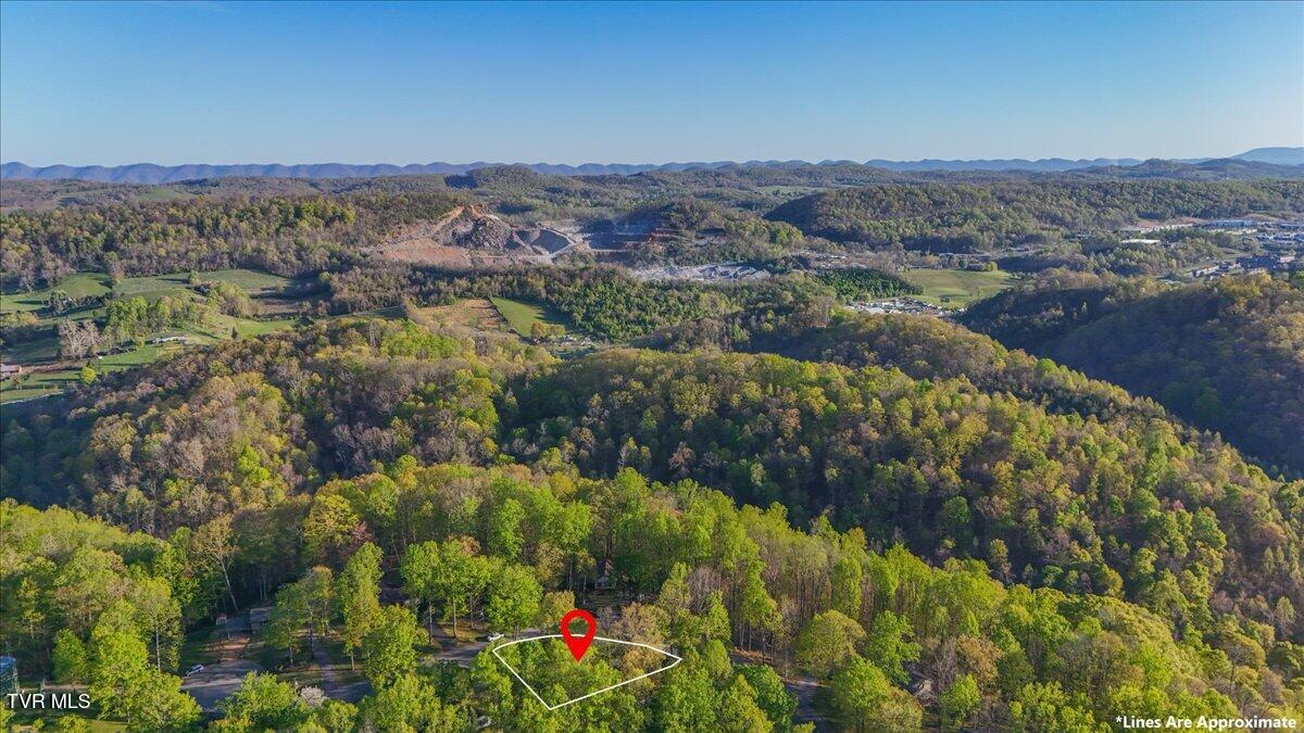 455 Carlton Road Bristol, TN 37620 - Photo 64 of 66 Aerial View