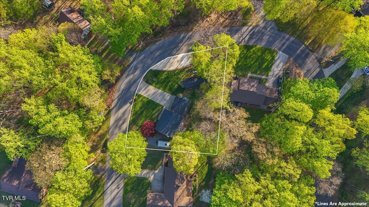 455 Carlton Road Bristol, TN 37620 - Photo 65 of 66 Aerial View