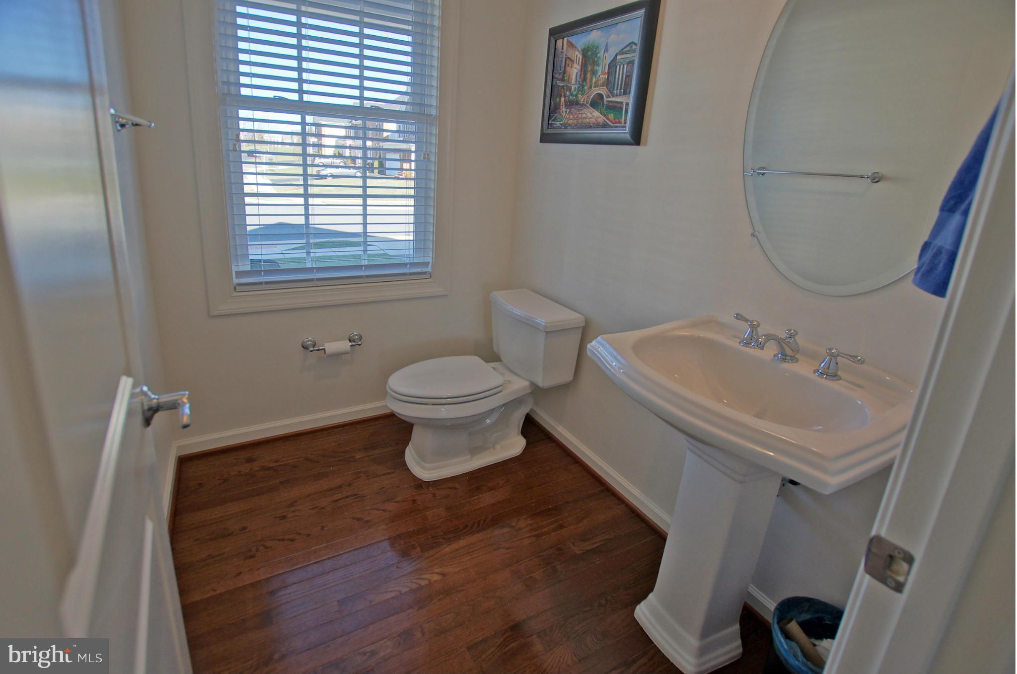 42407 Rising Moon Place Ashburn, VA 20148 - Photo 13 of 30 Powder Room