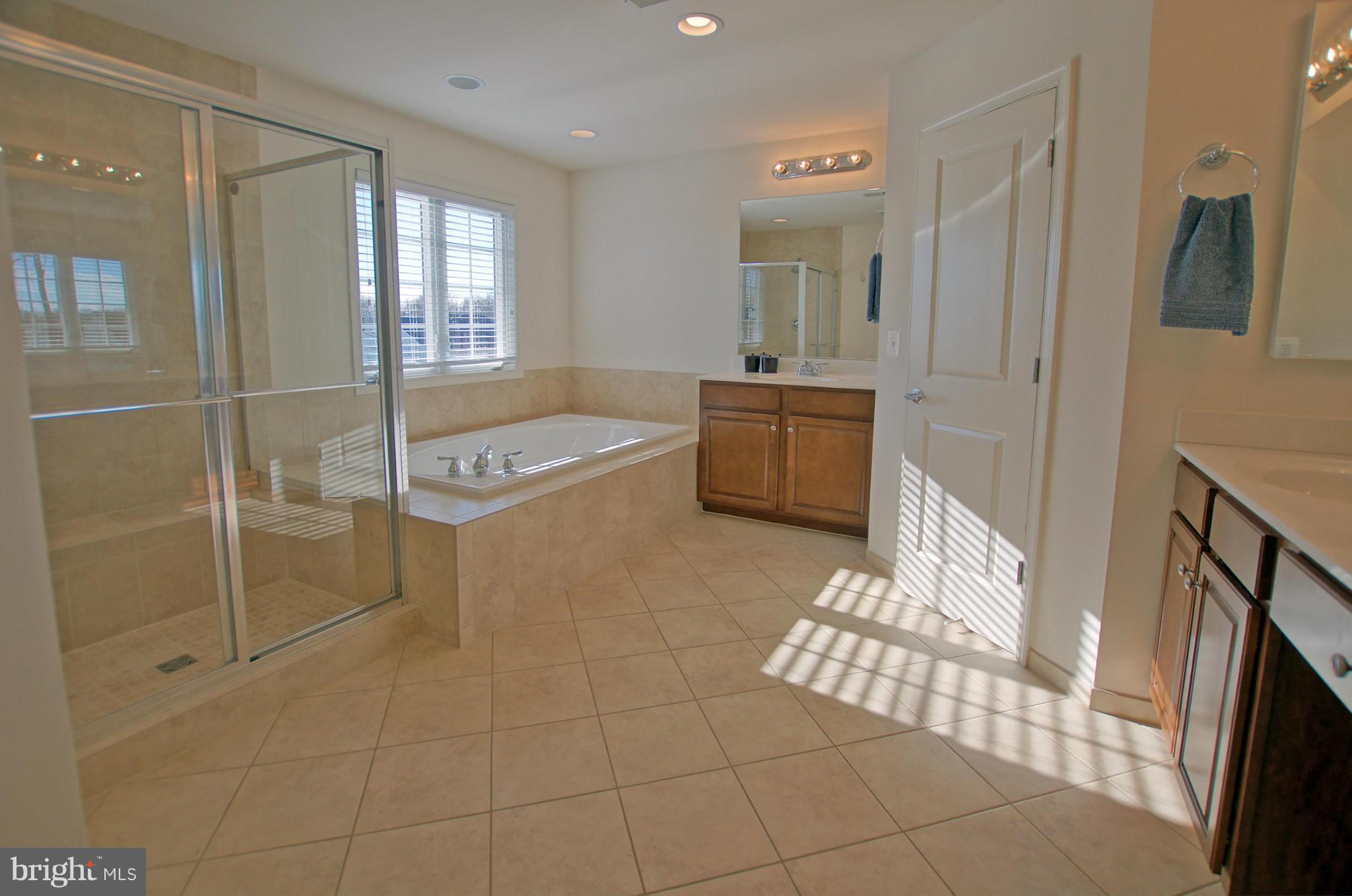 42407 Rising Moon Place Ashburn, VA 20148 - Photo 16 of 30 Bath (Master)