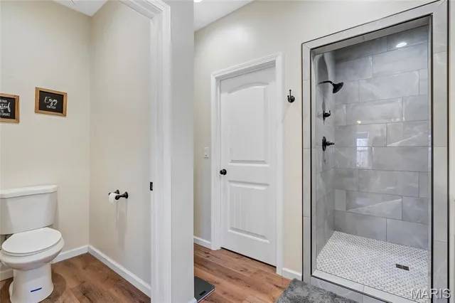 $230,000 | 39 State Highway, Williamsville, MO 63967