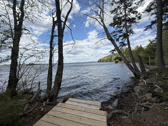 Lot12-part Indian Trail Road East Machias, ME 04630 - Photo 1 of 34 IMG_9871