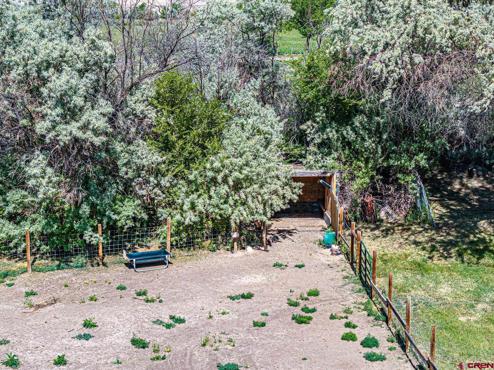 20260 Fawn Circle Eckert, CO 81418 - Photo 35 of 35 a view of a road with plants and large trees