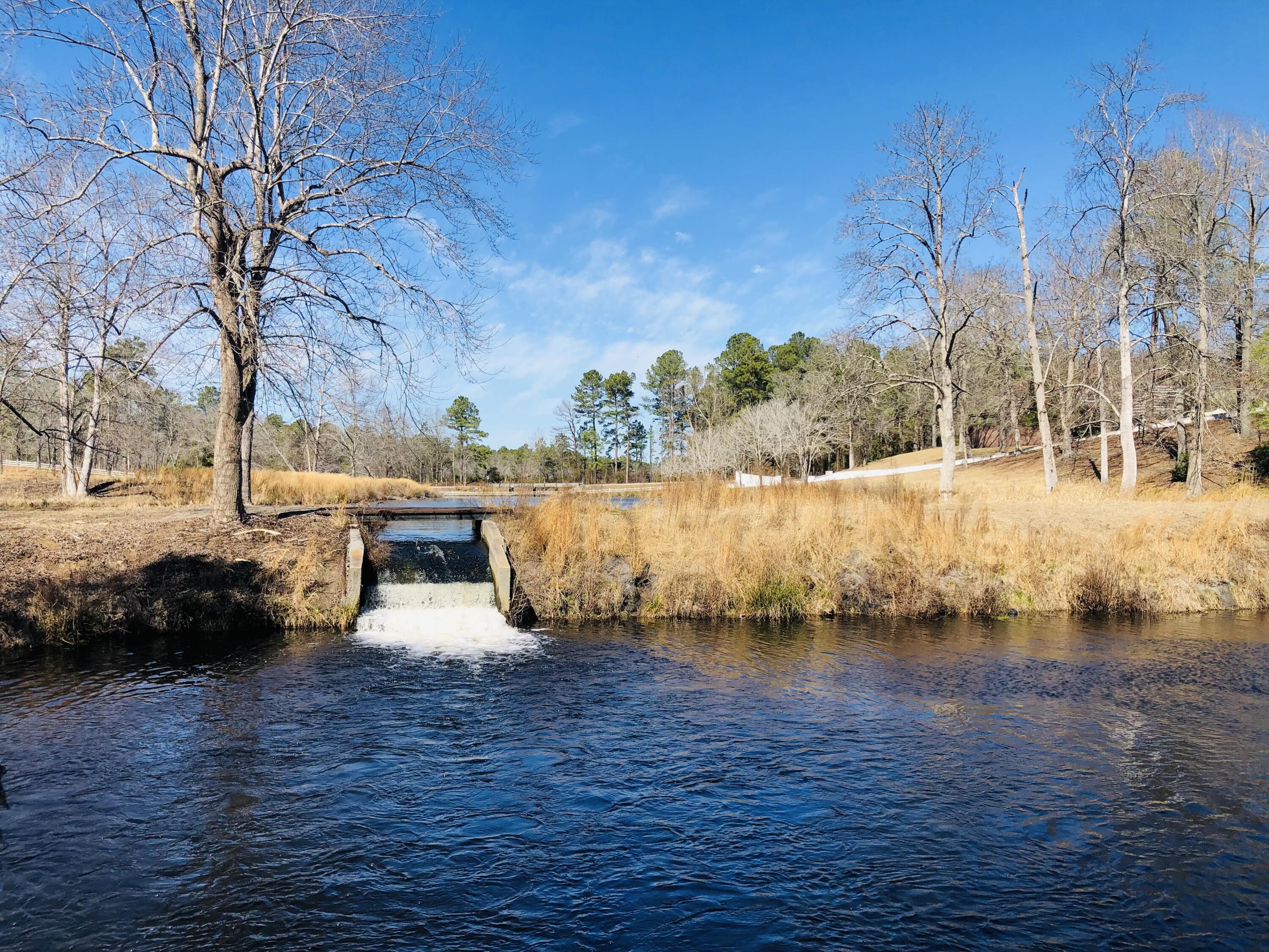 310 Grandys Mill Road Williston, SC 29853 - Photo 48 of 65