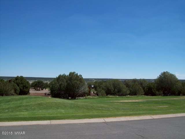 1875 Tee Time Lane Show Low, AZ 85901 - Photo 27 of 39