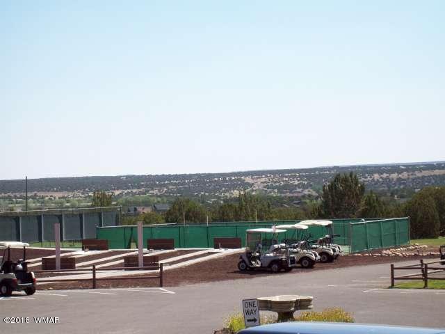 1875 Tee Time Lane Show Low, AZ 85901 - Photo 29 of 39