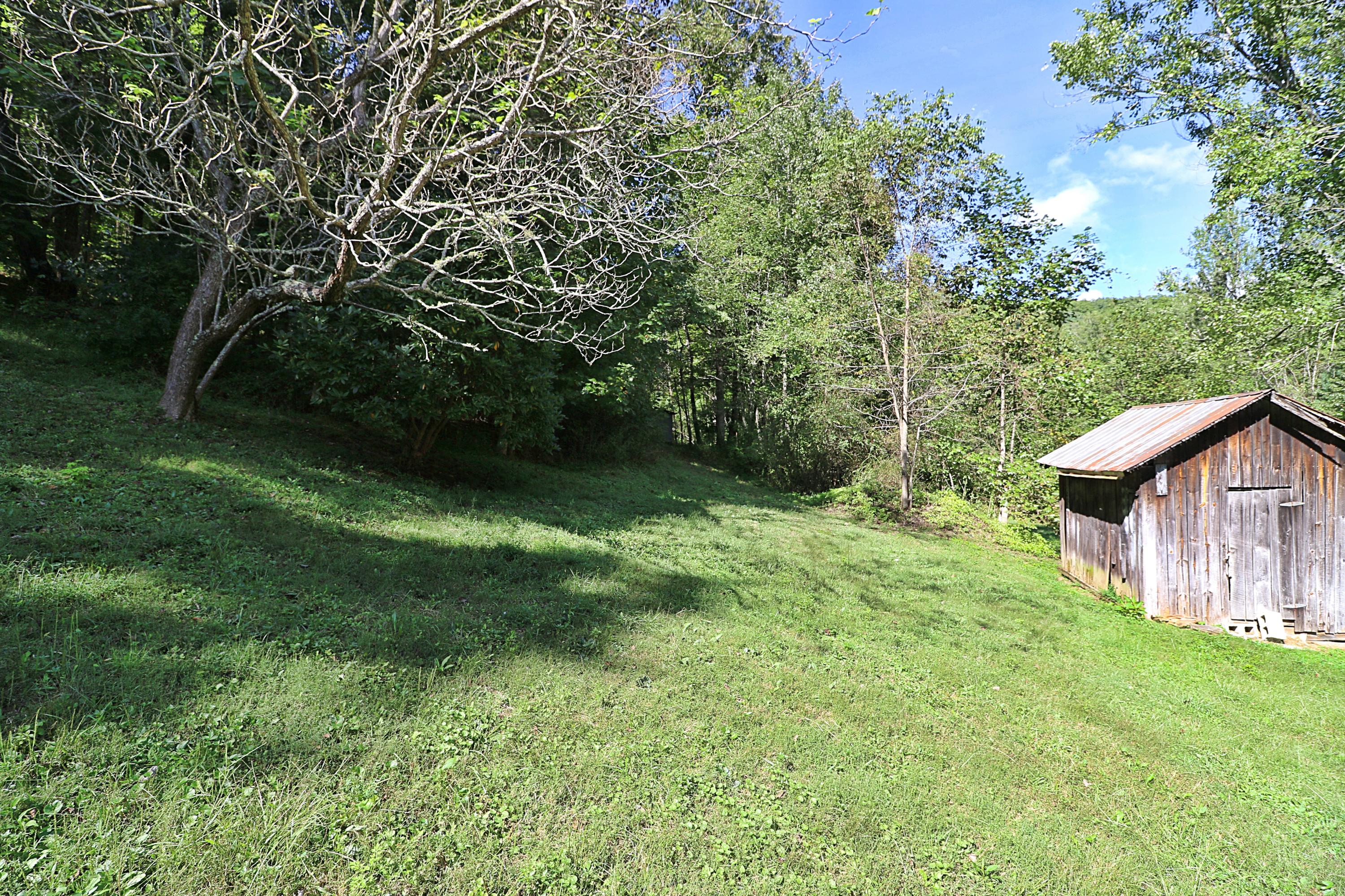1669 Paint Rock Road Oneida, TN 37841 - Photo 12 of 25 094A7404