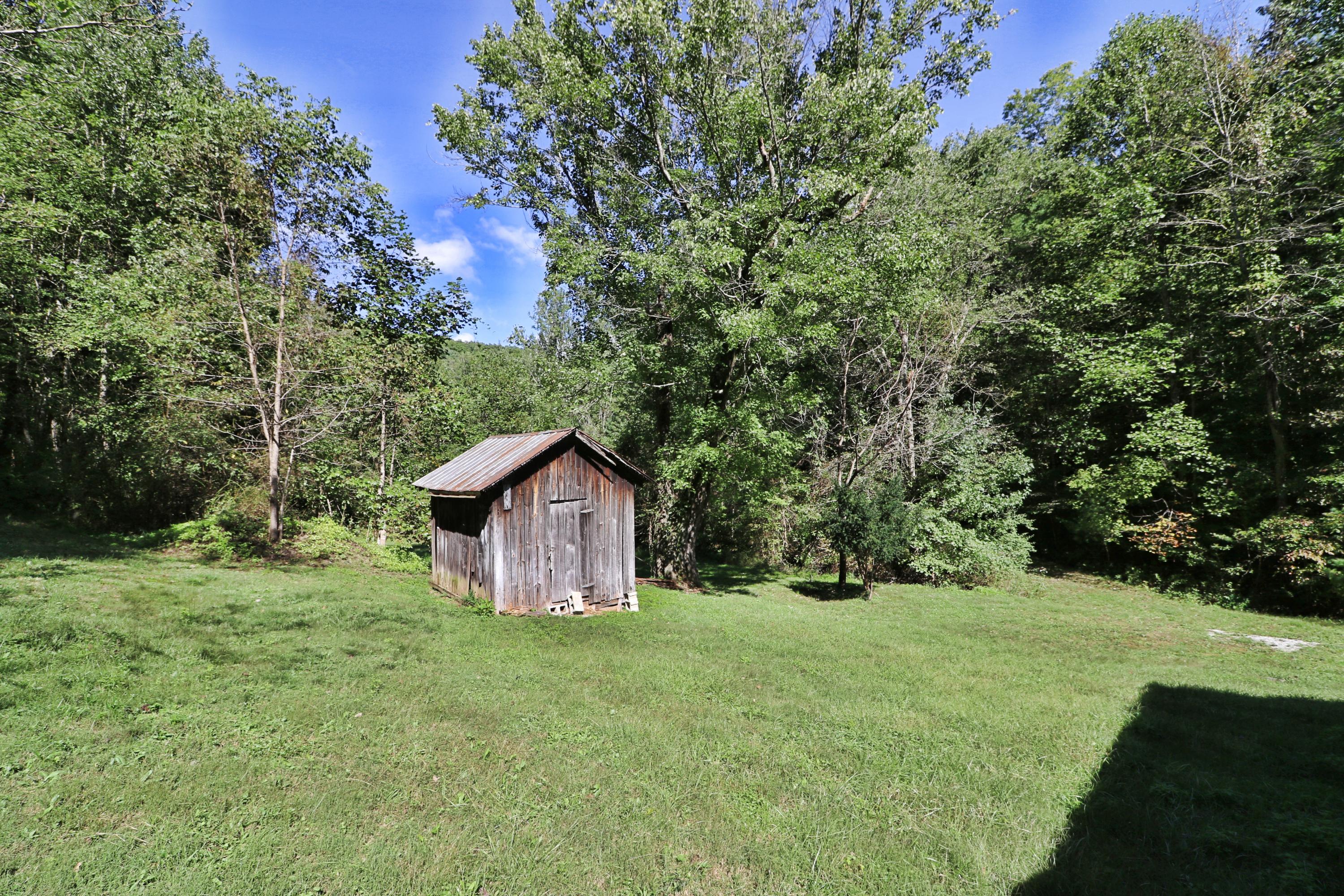 1669 Paint Rock Road Oneida, TN 37841 - Photo 13 of 25 094A7403