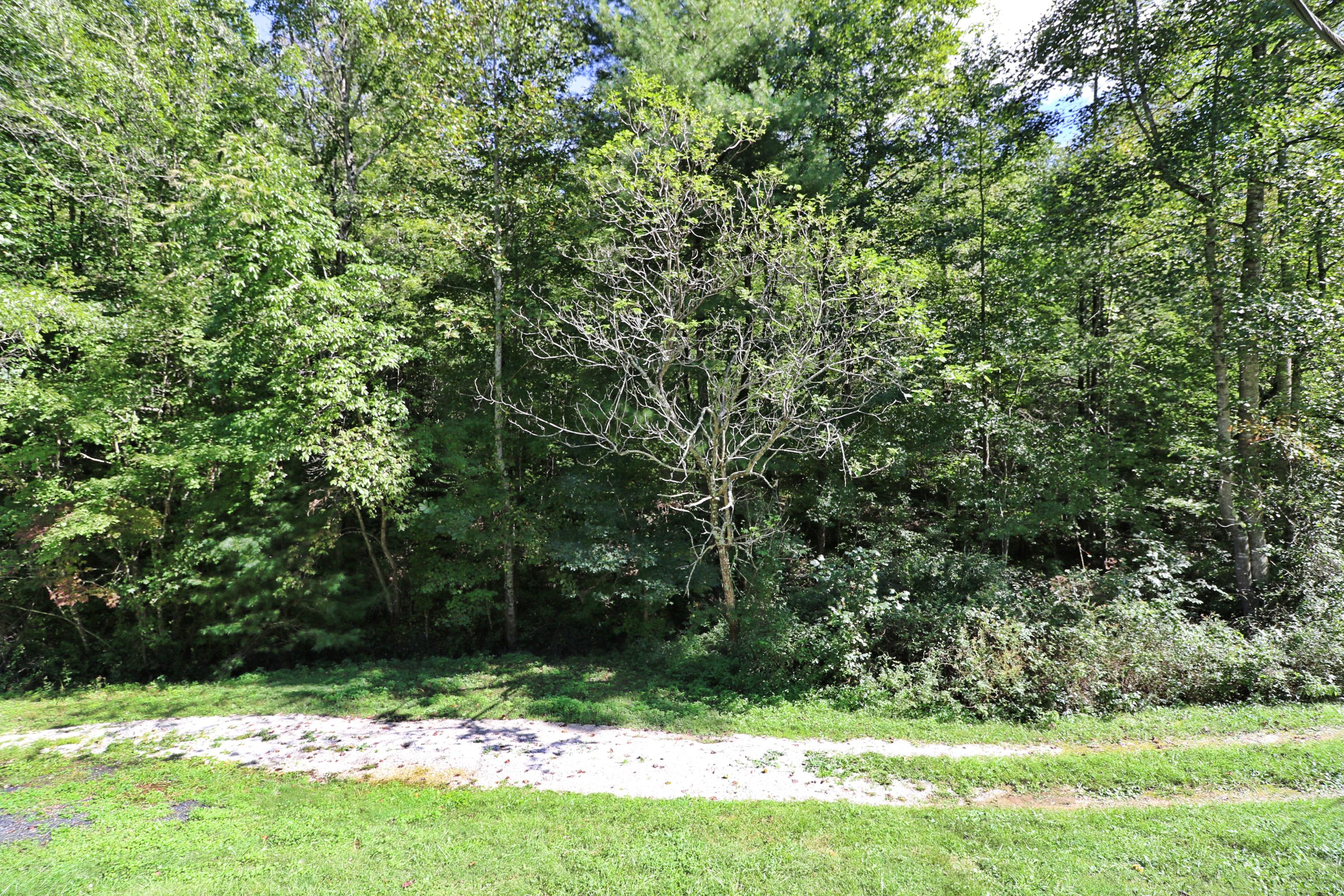 1669 Paint Rock Road Oneida, TN 37841 - Photo 15 of 25 094A7402