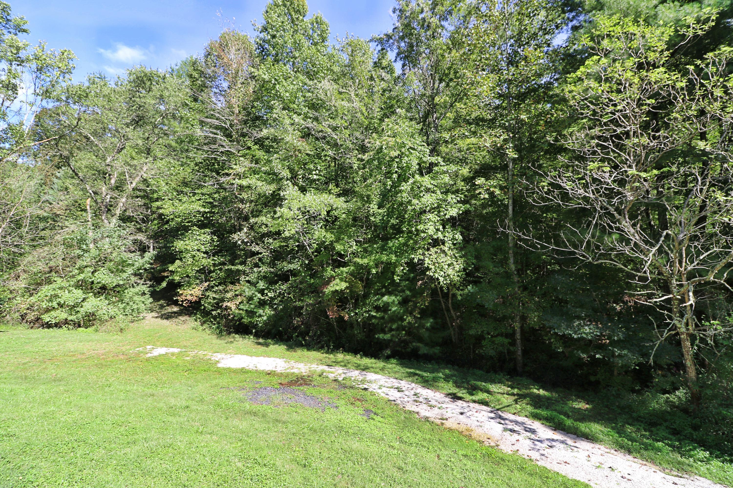 1669 Paint Rock Road Oneida, TN 37841 - Photo 16 of 25 094A7401