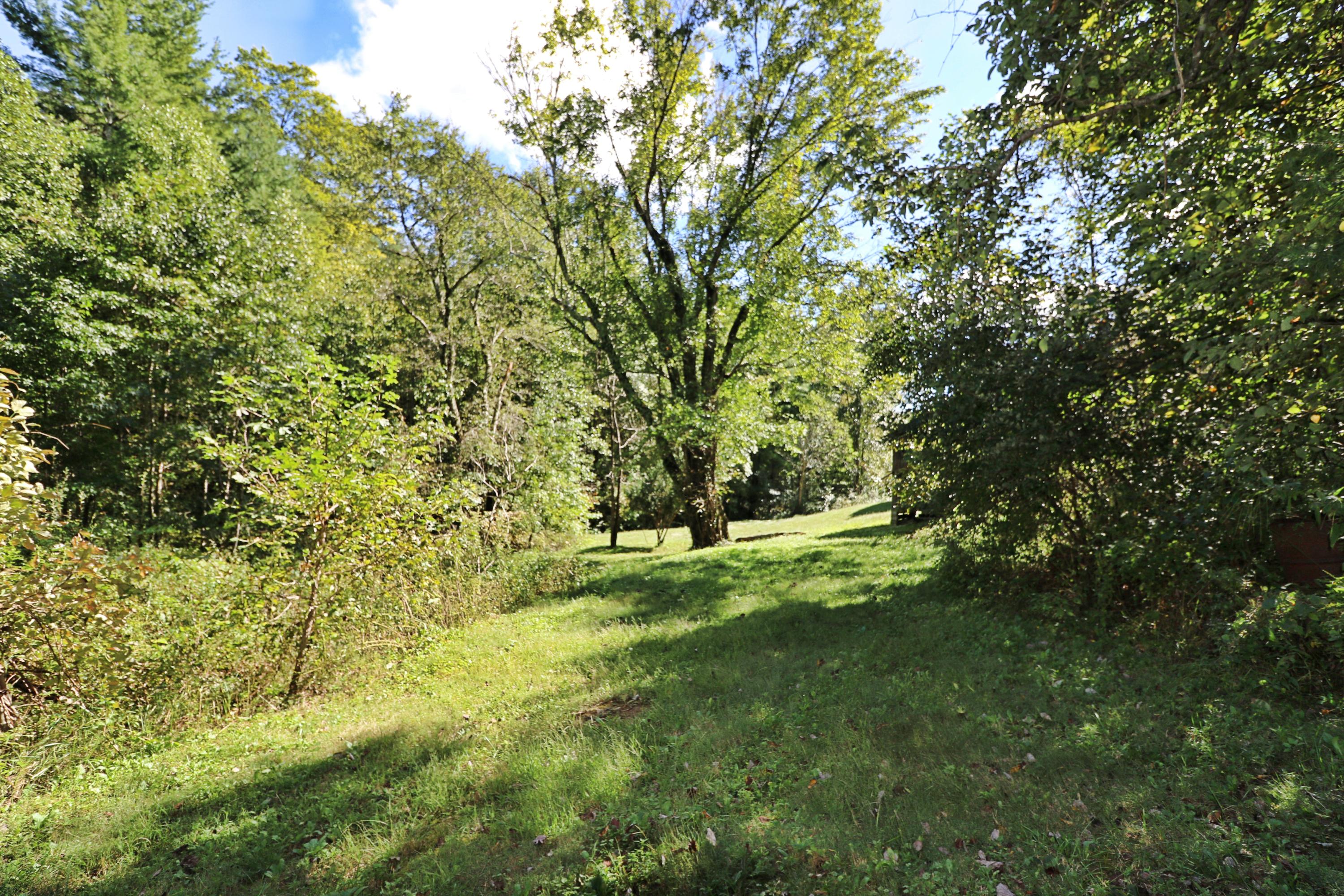 1669 Paint Rock Road Oneida, TN 37841 - Photo 20 of 25 094A7410