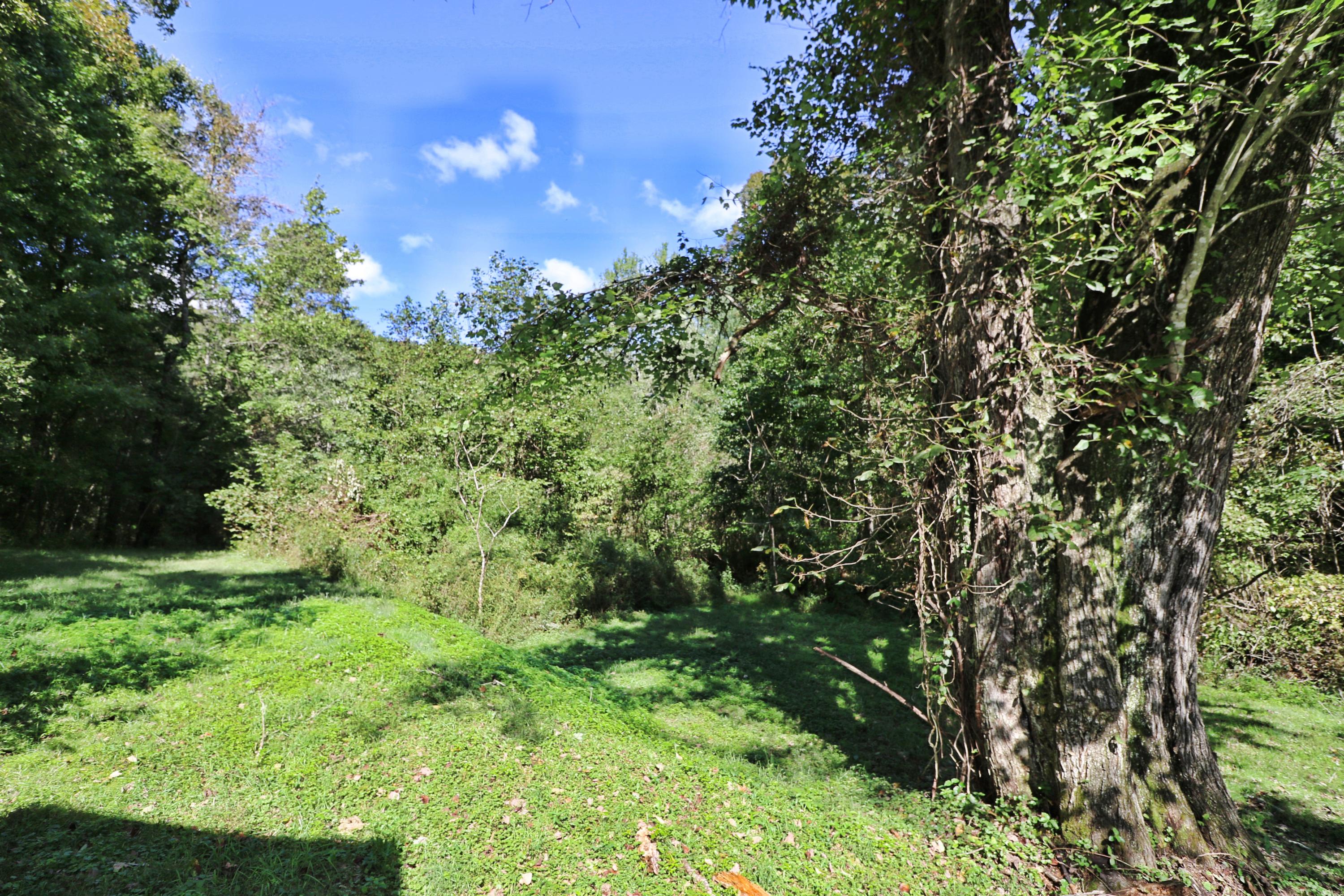 1669 Paint Rock Road Oneida, TN 37841 - Photo 21 of 25 094A7409
