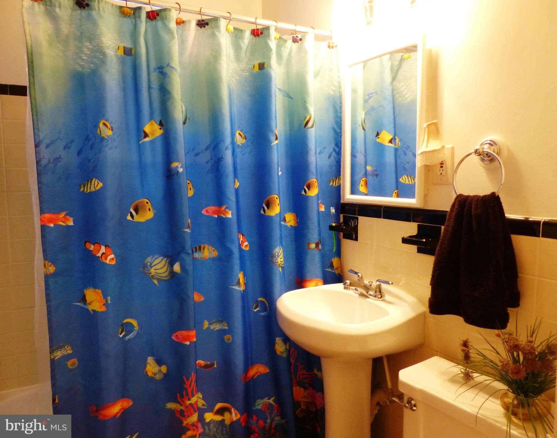 5212 8th Road South, Unit 1 Arlington, VA 22204 - Photo 11 of 14 Bath