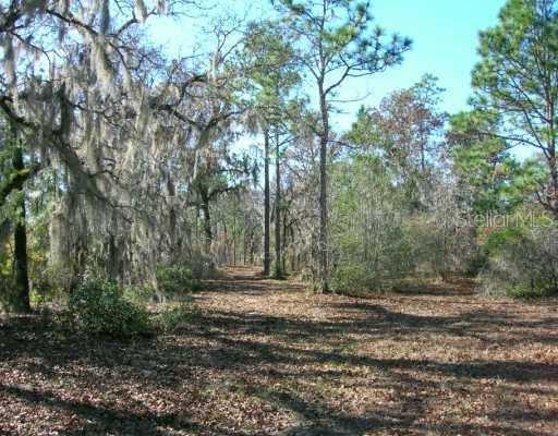 Dennis Howell Perry, FL 32348 - Photo 1 of 1 Gallery Image 1