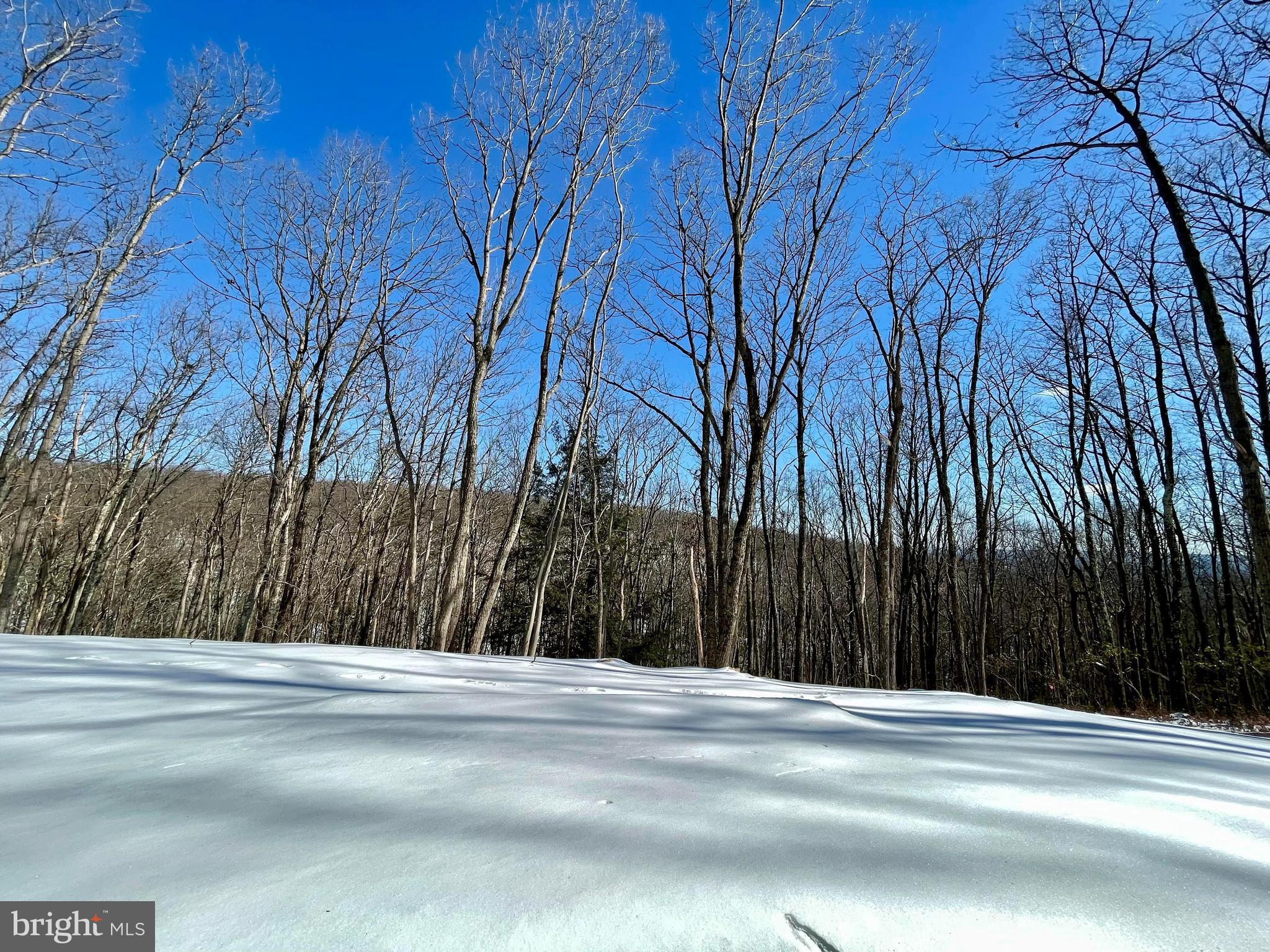 180 Stone Ridge Albrightsville, PA 18210 - Photo 22 of 23 a view of a backyard of the house