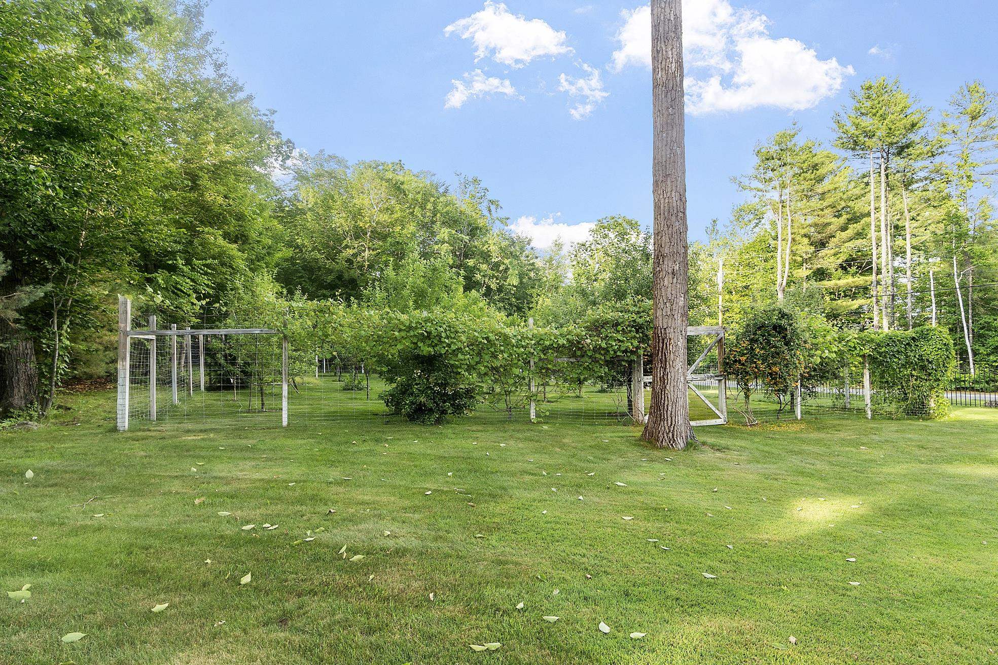 36 Tiger Trail Meredith, NH 03254 - Photo 25 of 60