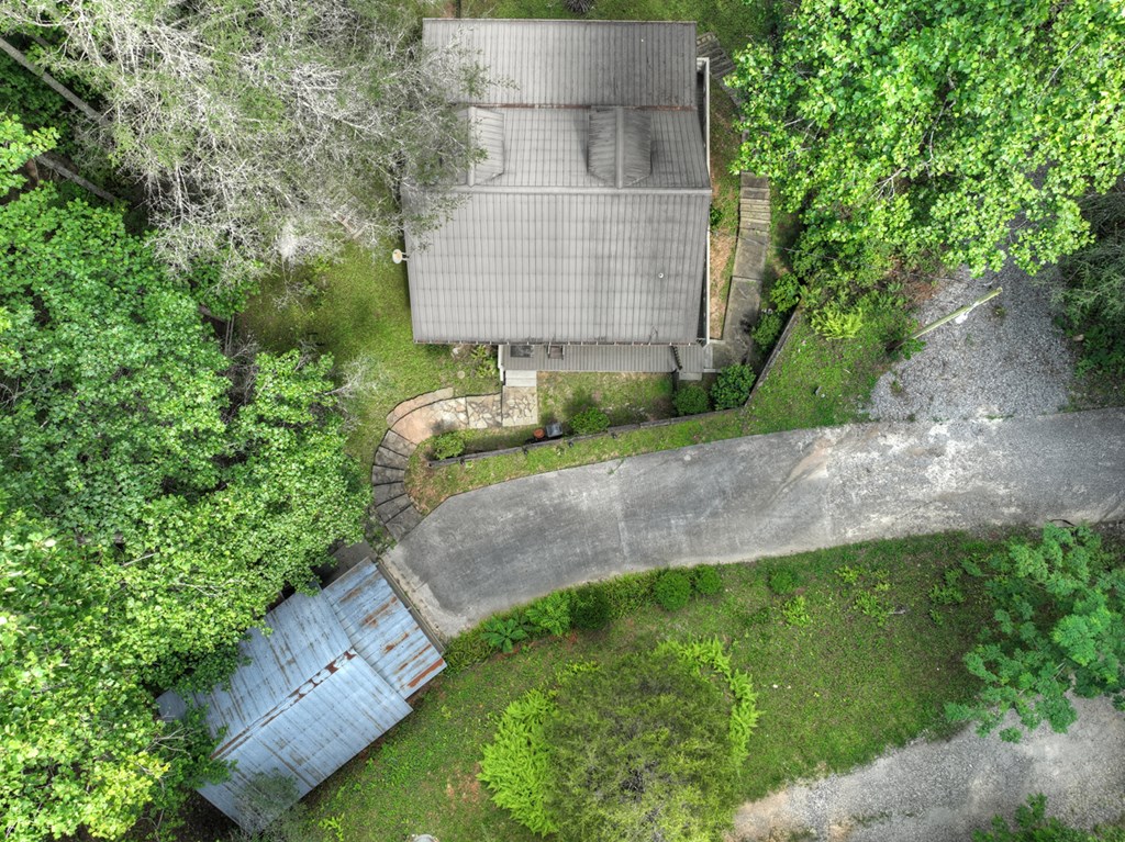 106 Butler Creek Road Cherry Log, GA 30522 - Photo 52 of 58 an aerial view of a house with a yard and tree s